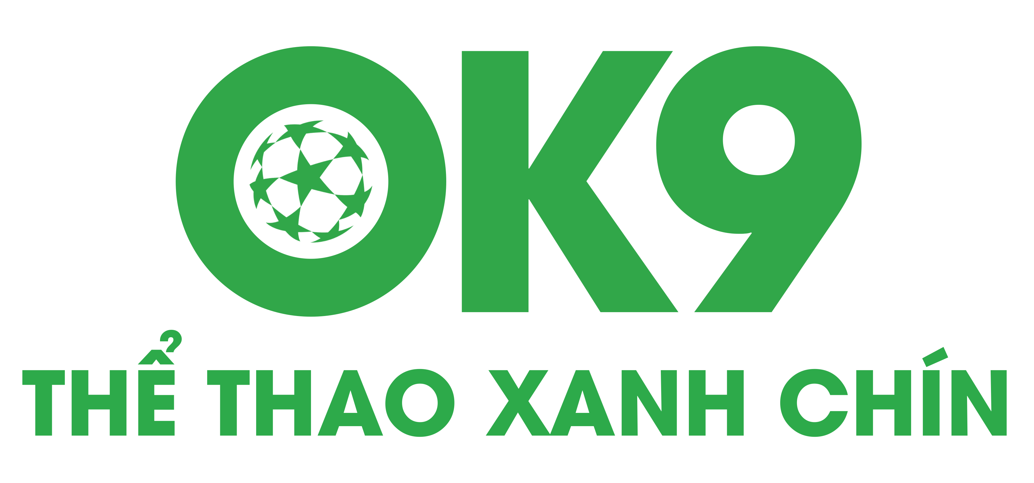 logo ok9