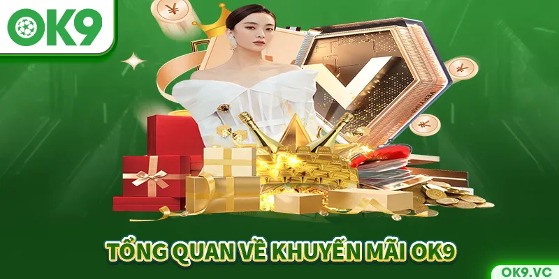 Một vài nét về khuyến mãi OK9 